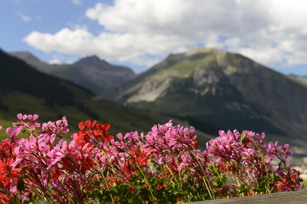 Chalet Garden Livigno Eksteriør bilde