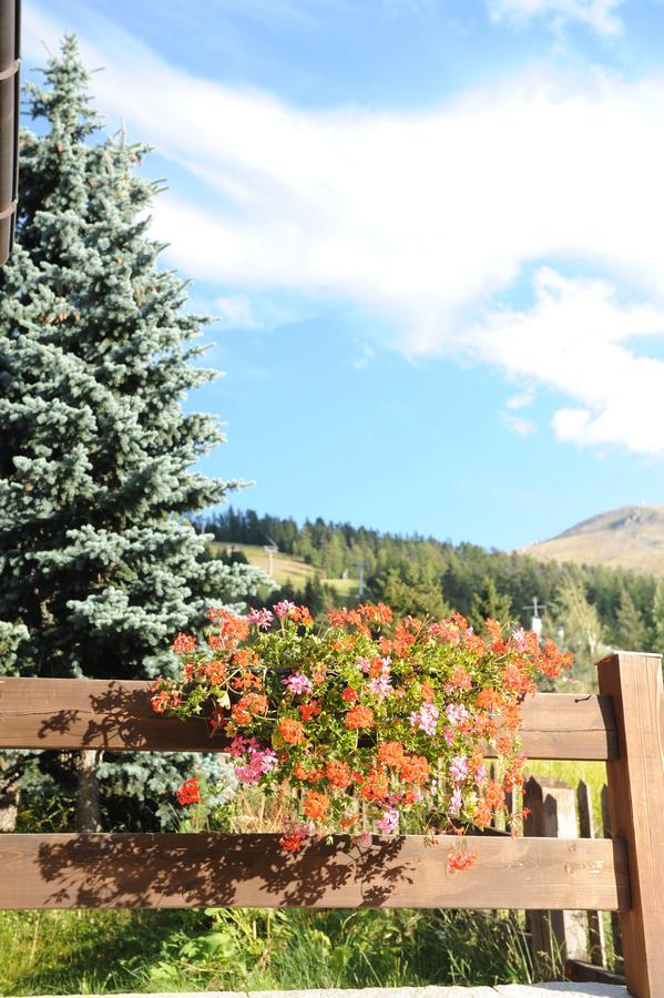 Chalet Garden Livigno Eksteriør bilde