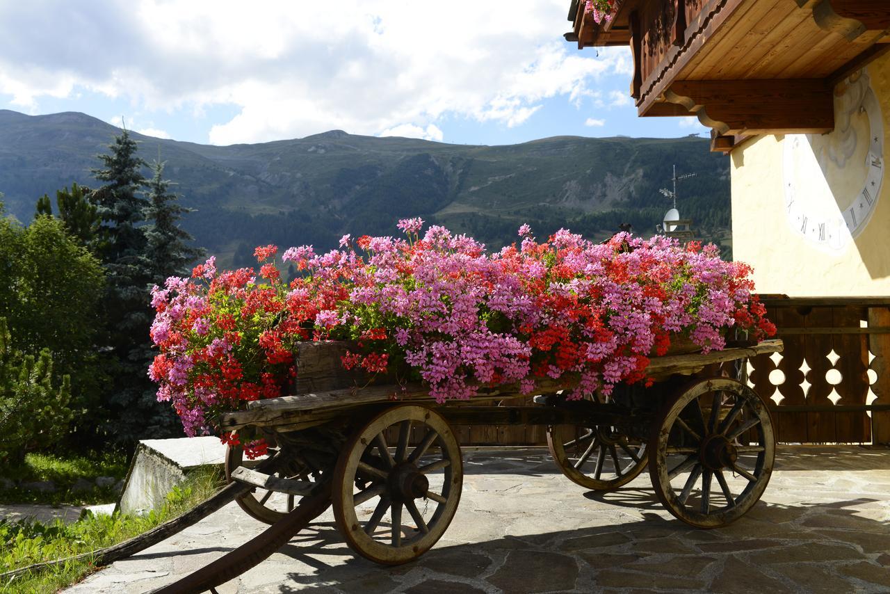 Chalet Garden Livigno Eksteriør bilde